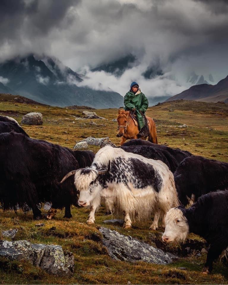 Vacation in mongolia
