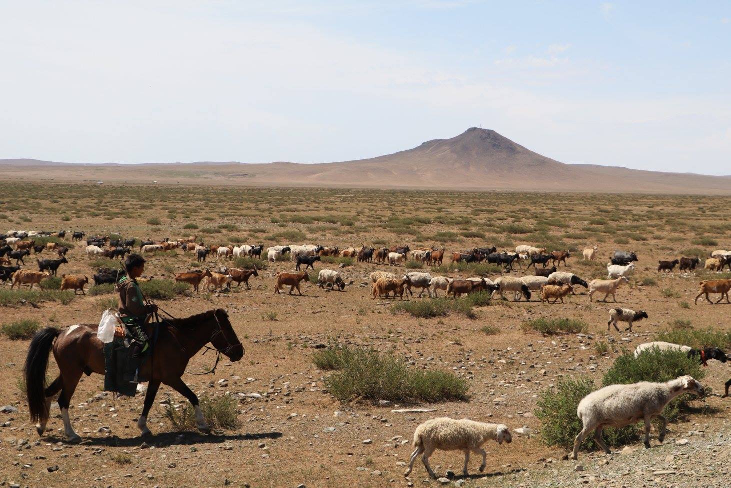 Why Do Mongolian Nomads Move? Seasonal Migration