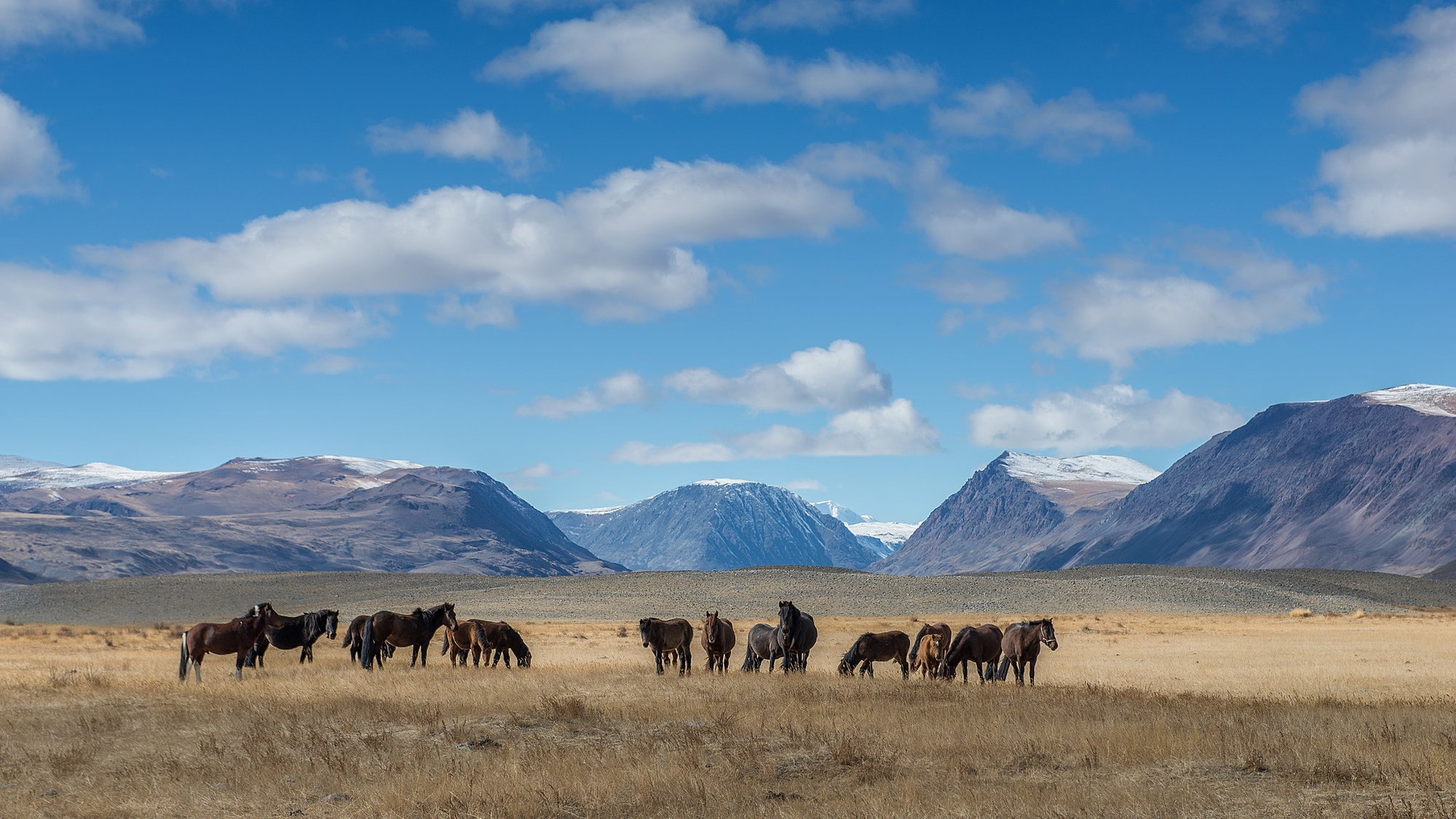 Travel to Mongolia