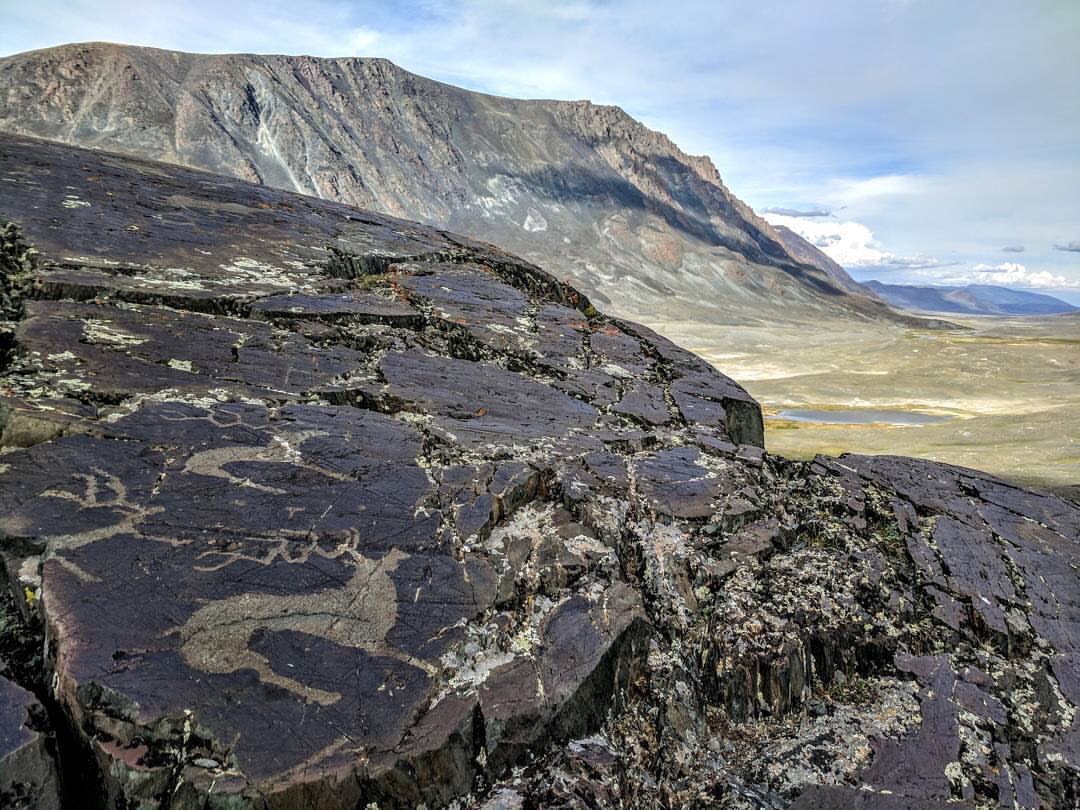 Vacation in Mongolia