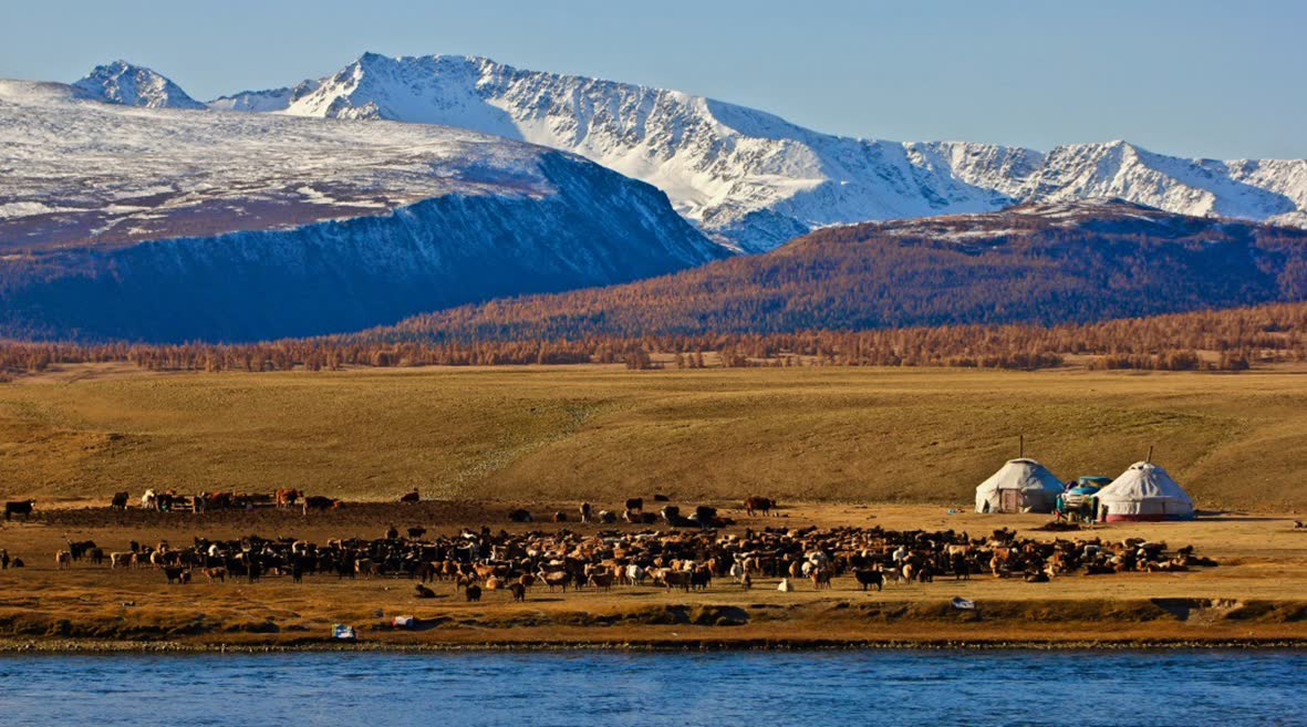Covid-19 Situation of Mongolia