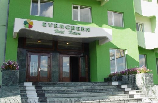 evergreen-11.jpg
