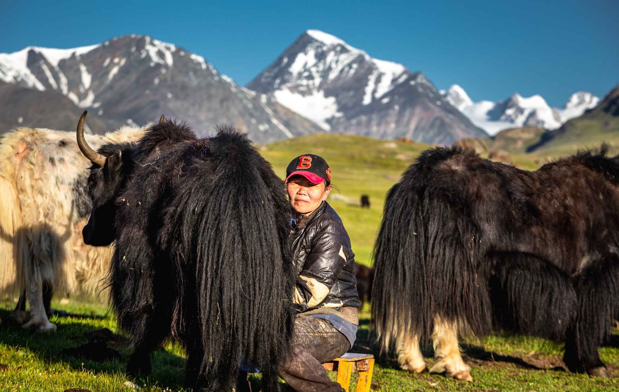 Golden Eagle Festival 2026